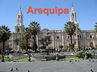 Arequipa 
 
9 
 