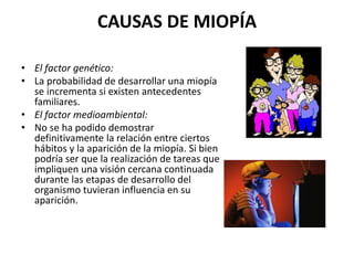 CAUSAS DE MIOPÍA
• El factor genético:
• La probabilidad de desarrollar una miopía
se incrementa si existen antecedentes
familiares.
• El factor medioambiental:
• No se ha podido demostrar
definitivamente la relación entre ciertos
hábitos y la aparición de la miopía. Si bien
podría ser que la realización de tareas que
impliquen una visión cercana continuada
durante las etapas de desarrollo del
organismo tuvieran influencia en su
aparición.
 