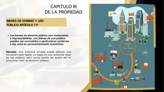 BIENES DE DOMINIO Y USO
PÚBLICO ARTÍCULO 73º
CAPITULO III
DE LA PROPIEDAD
Los bienes de dominio público son inalienables
e imprescriptibles. Los bienes de uso público
pueden ser concedidos a particulares conforme
a ley, para su aprovechamiento económico.
Ejemplo: Una empresa privada puede obtener una
concesión para operar un peaje en una autopista (bien
de uso público), pero nunca podría ser dueña del río
Amazonas (bien de dominio público).
 