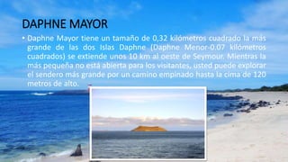 DAPHNE MAYOR
• Daphne Mayor tiene un tamaño de 0,32 kilómetros cuadrado la más
grande de las dos Islas Daphne (Daphne Menor-0.07 kilómetros
cuadrados) se extiende unos 10 km al oeste de Seymour. Mientras la
más pequeña no está abierta para los visitantes, usted puede explorar
el sendero más grande por un camino empinado hasta la cima de 120
metros de alto.
 