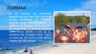 FLOREANA
• La Isla Floreana fue nombrada
después de que Juan José Flores, el
primer presidente de Ecuador,
durante cuya administración, el
gobierno de Ecuador tomó posesión
del archipiélago. Es llamada también
Santa María debido a una de las
carabelas de Cristóbal Colón. Tiene
un área de 173 km2 y una altitud
máxima de 640 metros.
 