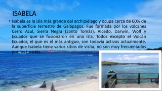 ISABELA
• Isabela es la isla más grande del archipiélago y ocupa cerca de 60% de
la superficie terrestre de Galápagos. Fue formada por los volcanes
Cerro Azul, Sierra Negra (Santo Tomás), Alcedo, Darwin, Wolf y
Ecuador que se fusionaron en una isla. Todos excepto el Volcán
Ecuador, el que es el más antiguo, son todavía activos actualmente.
Aunque Isabela tiene varios sitios de visita, no son muy frecuentados
por los turistas.
 