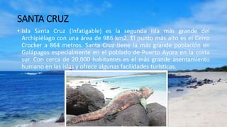 SANTA CRUZ
• Isla Santa Cruz (Infatigable) es la segunda isla más grande del
Archipiélago con una área de 986 km2. El punto más alto es el Cerro
Crocker a 864 metros. Santa Cruz tiene la más grande población en
Galápagos especialmente en el poblado de Puerto Ayora en la costa
sur. Con cerca de 20,000 habitantes es el más grande asentamiento
humano en las islas y ofrece algunas facilidades turísticas.
 