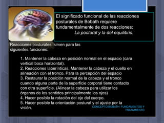 El significado funcional de las reacciones
                         posturales de Bobath requiere
                         fundamentalmente de dos reacciones:
                                    La postural y la del equilibrio.

Reacciones posturales, sirven para las
siguientes funciones:

     1. Mantener la cabeza en posición normal en el espacio (cara
     vertical boca horizontal).
     2. Reacciones laberínticas. Mantener la cabeza y el cuello en
     alineación con el tronco. Para la percepción del espacio
     3. Restaurar la posición normal de la cabeza y el tronco
     cuando alguna parte de la superficie corporal tiene contacto
     con otra superficie. (Alinear la cabeza para utilizar los
     órganos de los sentidos principalmente los ojos)
     4. Hacer posible la rotación del eje del cuerpo.
     5. Hacer posible la orientación postural y el ajuste por la
                                               CONCEPTO BOBATH: FUNDAMENTOS Y
     visión.                                                      TRATAMIENTO
 