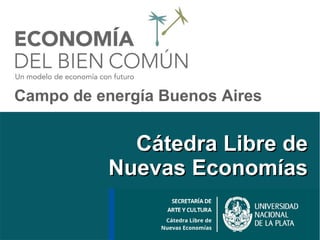 Cátedra Libre deCátedra Libre de
Nuevas EconomíasNuevas Economías
Campo de energía Buenos Aires
 