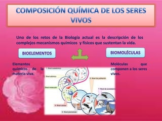 DIAPOSITIVAS DE LA COMPOSICIÓN QUÍMICA DE LOS SERES VIVOS | PPTX