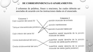 DE CORRESPONDENCIA O APAREAMIENTO:
2 columnas de palabras, frases u oraciones, las cuales deberán ser
asociadas de acuerdo con las instrucciones dadas en el enunciado.
 
