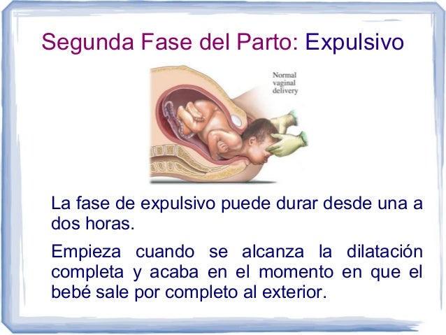 Diapos fases1