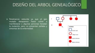 DISEÑO DEL ARBOL GENEALÓGICO
 Penetrancia reducida ya que el gen
mutado desaparece hasta volver a
manifestarse o algunas personas heredan
la mutación, pero no presentan señales y
síntomas de la enfermedad.
 