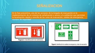 En la fase preventiva, una de las acciones de la brigada de evacuación es la
implementación de un sistema de señalización y avisos a la población que permitan
la localización rápida y sencilla de las rutas de evacuación, salidas de emergencia,
equipos de seguridad
 