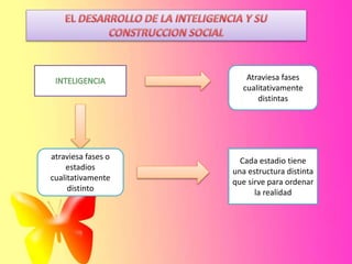Atraviesa fases
cualitativamente
distintas
atraviesa fases o
estadios
cualitativamente
distinto
Cada estadio tiene
una estructura distinta
que sirve para ordenar
la realidad
 