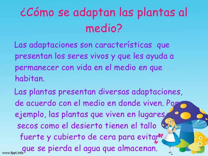 Adaptaciones En Los Seres Vivos