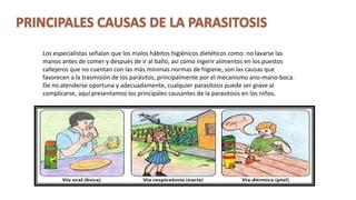 Los especialistas señalan que los malos hábitos higiénicos dietéticos como: no lavarse las
manos antes de comer y después de ir al baño, así como ingerir alimentos en los puestos
callejeros que no cuentan con las más mínimas normas de higiene, son las causas que
favorecen a la trasmisión de los parásitos, principalmente por el mecanismo ano-mano-boca.
De no atenderse oportuna y adecuadamente, cualquier parasitosis puede ser grave al
complicarse, aquí presentamos los principales causantes de la parasitosis en los niños.
 