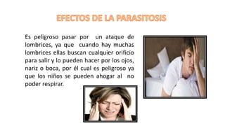 Es peligroso pasar por un ataque de
lombrices, ya que cuando hay muchas
lombrices ellas buscan cualquier orificio
para salir y lo pueden hacer por los ojos,
nariz o boca, por él cual es peligroso ya
que los niños se pueden ahogar al no
poder respirar.
 