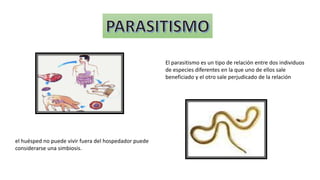 El parasitismo es un tipo de relación entre dos individuos
de especies diferentes en la que uno de ellos sale
beneficiado y el otro sale perjudicado de la relación
el huésped no puede vivir fuera del hospedador puede
considerarse una simbiosis.
 
