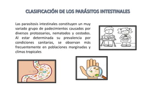 Las parasitosis intestinales constituyen un muy
variado grupo de padecimientos causados por
diversos protozoarios, nematodos y cestodos.
Al estar determinada su prevalencia por
condiciones sanitarias, se observan más
frecuentemente en poblaciones marginadas y
climas tropicales
 