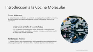 Introducción a la Cocina Molecular
Cocina Molecular
La cocina molecular es una disciplina que combina la ciencia y la gastronomía. Utiliza herramientas y
técnicas innovadoras para transformar ingredientes comunes en experiencias gastronómicas
sorprendentes.
Importancia en la Gastronomía Actual
En la actualidad, la cocina molecular ha ganado relevancia en la gastronomía por su
enfoque innovador y su capacidad para crear platos únicos y emocionantes que desafían
las convenciones culinarias tradicionales.
Tendencias y Avances
La constante evolución de la cocina molecular ha dado lugar a nuevas y emocionantes tendencias
culinarias que han capturado la atención de chefs y amantes de la comida en todo el mundo.
Photos provided by Unsplash
 