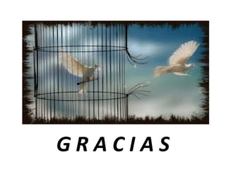 G R A C I A S
 