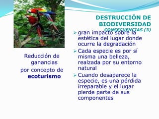 DESTRUCCIÓN DE
                            BIODIVERSIDAD
                              CONSECUENCIAS (3)
                   gran impacto sobre la
                    estética del lugar donde
                    ocurre la degradación
                   Cada especie es por sí
 Reducción de       misma una belleza,
    ganancias       realzada por su entorno
por concepto de     natural
  ecoturismo       Cuando desaparece la
                    especie, es una pérdida
                    irreparable y el lugar
                    pierde parte de sus
                    componentes
 