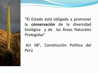 “El Estado está obligado a promover
la conservación de la diversidad
biológica y de las Áreas Naturales
Protegidas”

Art 68°, Constitución Política del
Perú
 