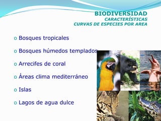 BIODIVERSIDAD
                                  CARACTERÍSTICAS
                       CURVAS DE ESPECIES POR AREA


o Bosques tropicales

o Bosques húmedos templados

o Arrecifes de coral

o Áreas clima mediterráneo

o Islas

o Lagos de agua dulce
 