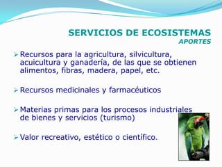 SERVICIOS DE ECOSISTEMAS
                                                APORTES

 Recursos para la agricultura, silvicultura,
 acuicultura y ganadería, de las que se obtienen
 alimentos, fibras, madera, papel, etc.

 Recursos medicinales y farmacéuticos

 Materias primas para los procesos industriales
 de bienes y servicios (turismo)

 Valor recreativo, estético o científico.
 