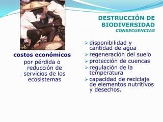 DESTRUCCIÓN DE
                            BIODIVERSIDAD
                                 CONSECUENCIAS


                       disponibilidad y
                        cantidad de agua
costos económicos      regeneración del suelo
   por pérdida o       protección de cuencas
    reducción de       regulación de la
   servicios de los     temperatura
    ecosistemas        capacidad de reciclaje
                        de elementos nutritivos
                        y desechos.
 