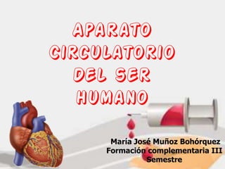 Aparato Circulatorio  Del ser humano  María José Muñoz Bohórquez   Formación complementaria III Semestre    