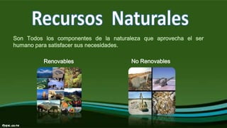 Son Todos los componentes de la naturaleza que aprovecha el ser
humano para satisfacer sus necesidades.
Renovables No Renovables
 