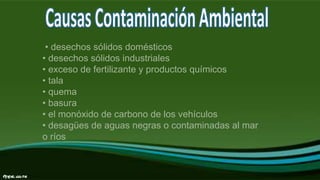 • desechos sólidos domésticos
• desechos sólidos industriales
• exceso de fertilizante y productos químicos
• tala
• quema
• basura
• el monóxido de carbono de los vehículos
• desagües de aguas negras o contaminadas al mar
o ríos
 