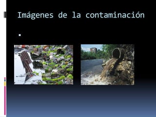 Imágenes de la contaminación


 