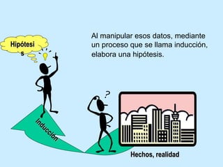Hipótesis Hechos, realidad Inducción Al manipular esos datos, mediante un proceso que se llama inducción,  elabora una hipótesis. 