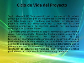 Ciclo de Vida del Proyecto     Según Maynard (4) "(un proyecto es) ... un proceso de trabajo grupal que se extiende por una determinada cantidad de tiempo y que debe llevar como resultado una facilidad tecnológica que puede ir desde una construcción civil o industrial, hasta un complejo productivo o de servicios pasando por una solución tecnológica de cualquier índole".       El proyecto pasa por diferentes etapas, reconocidas generalmente como: Conceptualización, Desarrollo, Implementación o puesta en marcha y Declinación. (Ver Figura No. 1) (6)La etapa de Conceptualización comprende el desarrollo de la idea preliminar hasta la demostración de su viabilidad incluyendo el análisis de las posibles alternativas de solución del problema que se pretenda resolver. Generalmente culmina con la aprobación de los resultados de estudios de viabilidad que comprenden análisis preliminares de comportamiento de mercado y demanda.