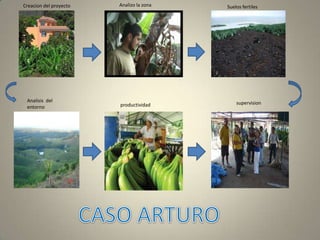 Analizo la zonaCreacion del proyectoSuelos fertilesAnalisis  del entornosupervisionproductividadCASO ARTURO