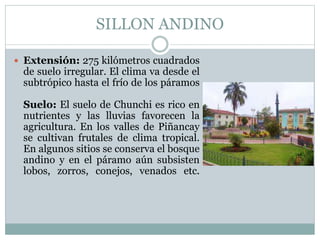 SILLON ANDINO
 Extensión: 275 kilómetros cuadrados
de suelo irregular. El clima va desde el
subtrópico hasta el frío de los páramos
Suelo: El suelo de Chunchi es rico en
nutrientes y las lluvias favorecen la
agricultura. En los valles de Piñancay
se cultivan frutales de clima tropical.
En algunos sitios se conserva el bosque
andino y en el páramo aún subsisten
lobos, zorros, conejos, venados etc.
 