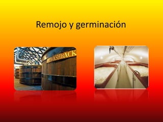 Remojo y germinación
 