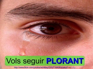  




Vols seguir PLORANT
    http://www.flickr.com/photos/wintkley/2352718408/sizes/z/­­Per Wintkley 
 