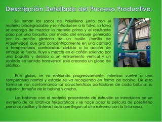 Se toman los sacos de Polietileno junto con el
material biodegradable y se introducen a la Tolva, la tolva
se encarga de mezclar la materia prima y el resultante
pasa por una boquilla, por medio del empuje generado
por la acción giratoria de un husillo (tornillo de
Arquímedes) que gira concéntricamente en una cámara
a temperaturas controladas, debido a la acción de
empuje se funde, fluye y mezcla en el cañón saliendo por
una boquilla y debido a un estiramiento vertical y un
soplado en sentido transversal, sale creando un globo de
plástico.
Este globo, se va enfriando progresivamente, mientras vuelve a una
temperatura normal y estable se va recogiendo en forma de bobina. De esta
forma se van conformando las características particulares de cada bobina: su
espesor, tamaño de la bobina y ancho.
Las bobinas con el material procedente de extrusión se introducen en un
extremo de las rotativas flexográficas y se hace pasar la película de polietileno
por unos rodillos y tinteros hasta que llegan al otro extremo con la tinta seca.
 