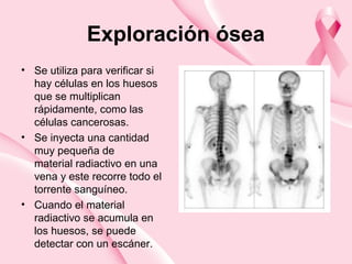 Exploración ósea
• Se utiliza para verificar si
hay células en los huesos
que se multiplican
rápidamente, como las
células cancerosas.
• Se inyecta una cantidad
muy pequeña de
material radiactivo en una
vena y este recorre todo el
torrente sanguíneo.
• Cuando el material
radiactivo se acumula en
los huesos, se puede
detectar con un escáner.
 
