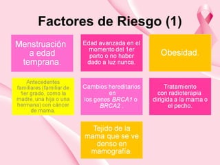 Factores de Riesgo (1)
 