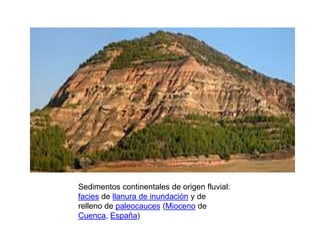 Sedimentos continentales de origen fluvial:
facies de llanura de inundación y de
relleno de paleocauces (Mioceno de
Cuenca, España)
 