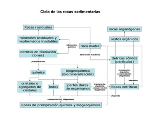 Ciclo de las rocas sedimentarias
 