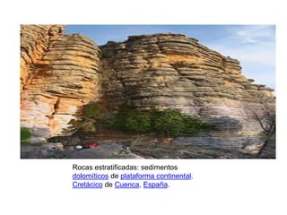 Rocas estratificadas: sedimentos
dolomíticos de plataforma continental.
Cretácico de Cuenca, España.
 