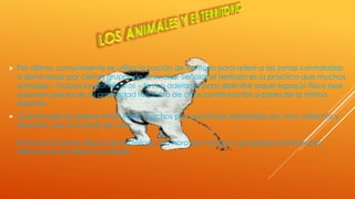  Por último, comúnmente se utiliza la noción de territorio para referir a las zonas controladas
o dominadas por ciertos grupos de animales. Señalar el territorio es la práctica que muchos
animales – incluso los domésticos – llevan adelante para delimitar aquel espacio físico que
suponen que es de su propiedad respecto de otros contrincantes o pares de la misma
especie.
 Casi siempre las peleas entre tigres machos por cuestiones territoriales son muy violentas y
terminan con la muerte de uno.
Entre las acciones típicas de los felinos a la hora de marcar su propiedad territorial se
destaca la de orinar los árboles.
 