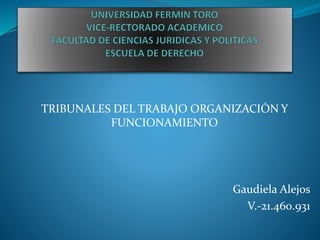 TRIBUNALES DEL TRABAJO ORGANIZACIÓN Y
FUNCIONAMIENTO
Gaudiela Alejos
V.-21.460.931
 
