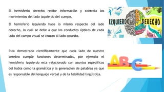 El hemisferio derecho recibe información y controla los
movimientos del lado izquierdo del cuerpo.
El hemisferio izquierdo hace lo mismo respecto del lado
derecho, lo cual se debe a que los conductos ópticos de cada
lado del campo visual se cruzan al lado opuesto.
Esta demostrado científicamente que cada lado de nuestro
cerebro cumple funciones determinadas, por ejemplo el
hemisferio izquierdo esta relacionado con asuntos específicos
del habla como la gramática y la generación de palabras ya que
es responsable del lenguaje verbal y de la habilidad lingüística.
 