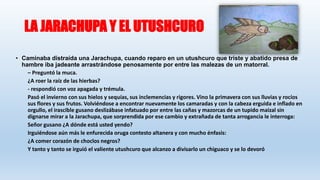 LA JARACHUPA Y EL UTUSHCURO
• Caminaba distraída una Jarachupa, cuando reparo en un utushcuro que triste y abatido presa de
hambre iba jadeante arrastrándose penosamente por entre las malezas de un matorral.
– Preguntó la muca.
¿A roer la raíz de las hierbas?
- respondió con voz apagada y trémula.
Pasó el invierno con sus hielos y sequías, sus inclemencias y rigores. Vino la primavera con sus lluvias y rocíos
sus flores y sus frutos. Volviéndose a encontrar nuevamente los camaradas y con la cabeza erguida e inflado en
orgullo, el irascible gusano deslizábase infatuado por entre las cañas y mazorcas de un tupido maizal sin
dignarse mirar a la Jarachupa, que sorprendida por ese cambio y extrañada de tanta arrogancia le interroga:
Señor gusano ¿A dónde está usted yendo?
Irguiéndose aún más le enfurecida oruga contesto altanera y con mucho énfasis:
¿A comer corazón de choclos negros?
Y tanto y tanto se irguió el valiente utushcuro que alcanzo a divisarlo un chiguaco y se lo devoró
 