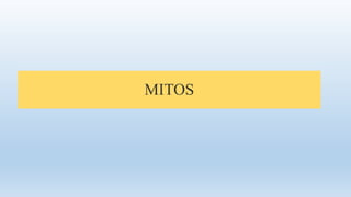 MITOS
 