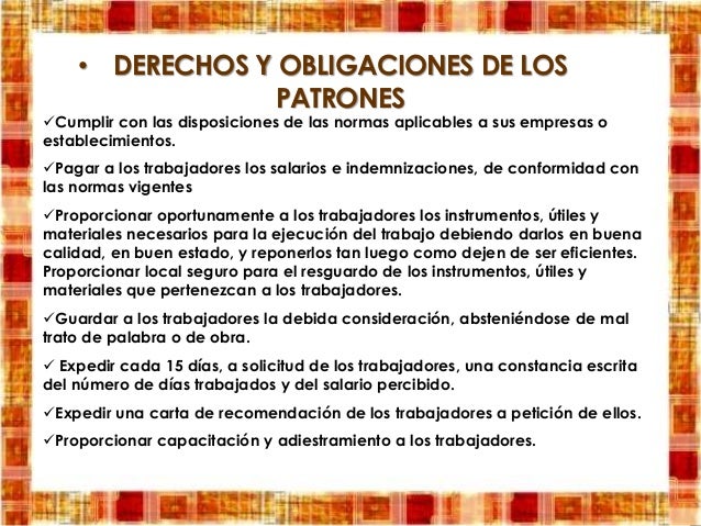 DERECHOS Y OBLIGACIONES DE LOS PATRONES 6D
