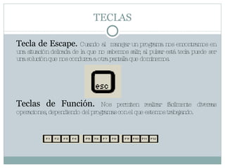 TECLAS Tecla de Escape.  Cuando al  manejar un programa nos encontramos en una situación delicada de la que no sabemos salir, al pulsar está tecla puede ser una solución que nos conduzca a otra pantalla que dominemos. Teclas de Función.  Nos permiten realizar fácilmente diversas operaciones, dependiendo del programas con el que estemos trabajando. 